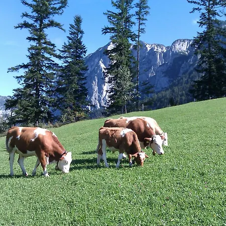 Apartament Haus Schrei