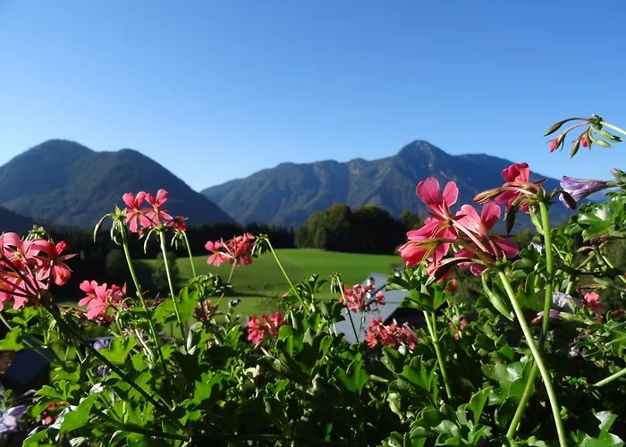 Διαμέρισμα Haus Schrei Grundlsee