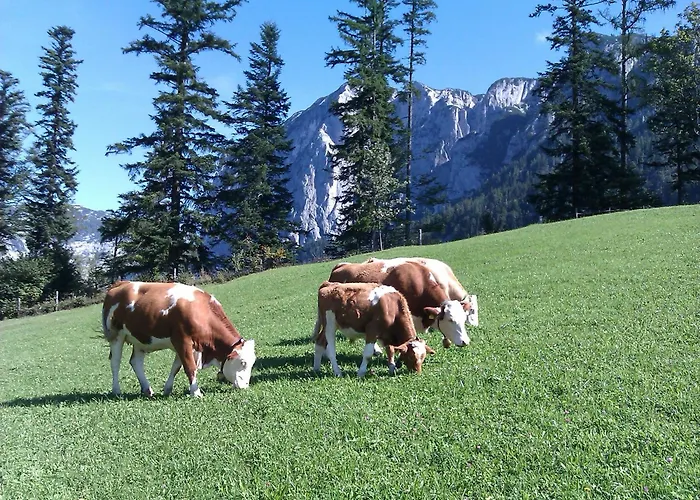 Διαμέρισμα Haus Schrei